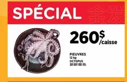 Kim Phat OCTOPUS offer