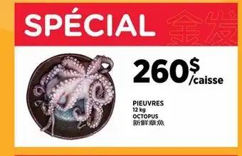 Kim Phat OCTOPUS offer