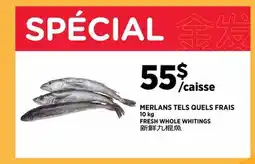 Kim Phat FRESH WHOLE WHITINGS offer
