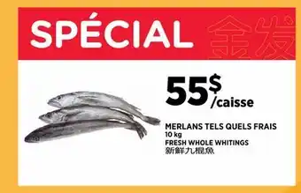 Kim Phat FRESH WHOLE WHITINGS offer