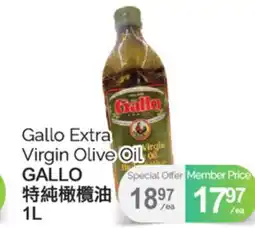 T&T Supermarket GALLO EXTRA VIRGIN OLIVE OIL,1L offer