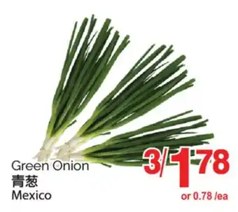 T&T Supermarket GREEN ONION offer