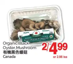 T&T Supermarket ORGANIC BLACK OYSTER MUSHROOM offer