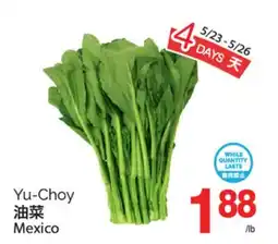 T&T Supermarket YU-CHOY offer