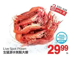 T&T Supermarket LIVE SPOT PRAWN offer