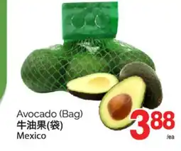 T&T Supermarket AVOCADO, BAG offer