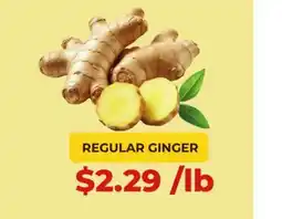 Food World Supermarket REGULAR GINGER offer