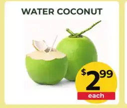 Food World Supermarket WATER COCONUT offer