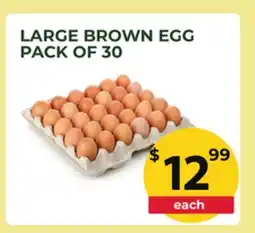 Food World Supermarket LARGE BROWN EGG offer