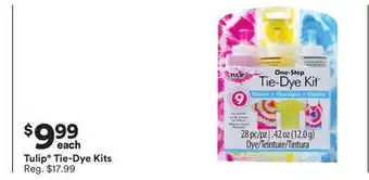 Michaels Tulip Tie-Dye Kits offer