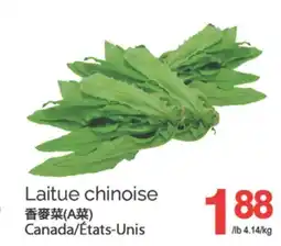 T&T Supermarket LAITUE CHINOISE offer