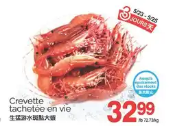 T&T Supermarket CREVETTE TACHETEE EN VIE offer