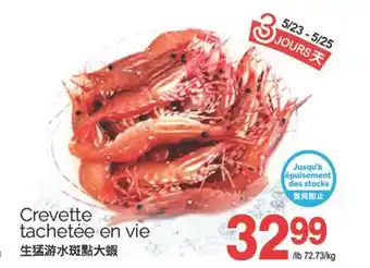 T&T Supermarket CREVETTE TACHETEE EN VIE offer