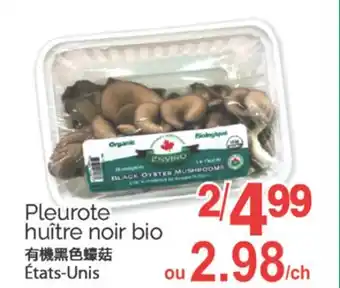 T&T Supermarket PLEUROTE HUITRE NOIR BIO offer