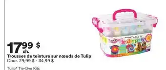 Michaels Trousses de teinture sur nœuds de Tulip offer