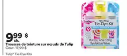 Michaels Trousses de teinture sur nœuds de Tulip offer