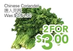Ample Food Market Chinese Coriander offer