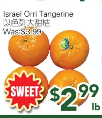Ample Food Market Israel Orri Tangerine offer