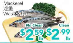Ample Food Market Mackerel offer