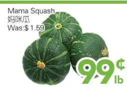 Ample Food Market Mama Squash offer