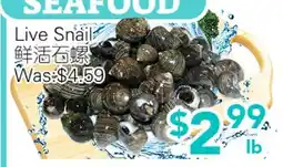 Ample Food Market Live Snail offer