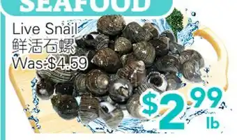 Ample Food Market Live Snail offer