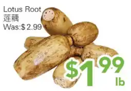 Ample Food Market Lotus Root offer