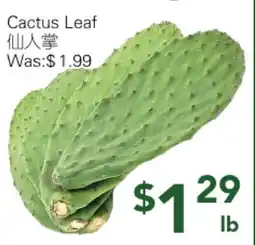 Ample Food Market Cactus Leaf offer