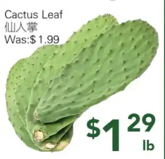 Ample Food Market Cactus Leaf offer