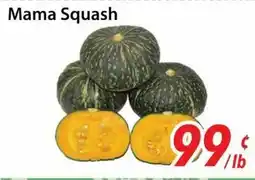 Bestco Food Mart Mama Squash offer