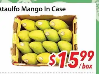 Bestco Food Mart Ataulfo Mango In Case offer