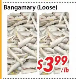 Bestco Food Mart Bangamary (Loose) offer