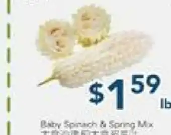 Oceans Fresh Food Market White Bemer Melon offer