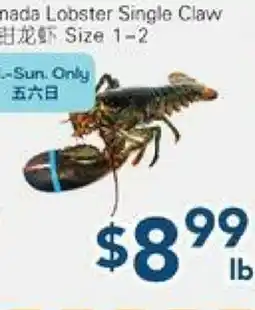 Oceans Fresh Food Market Canada Lobster Single Claw offer