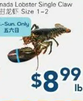 Oceans Fresh Food Market Canada Lobster Single Claw offer