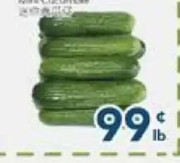 Oceans Fresh Food Market Cucumber offer