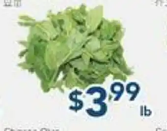 Oceans Fresh Food Market Snow Pea Sprouts offer