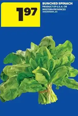Real Canadian Superstore Bunched spinach offer