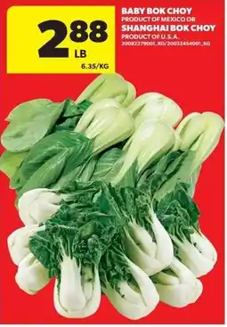 Real Canadian Superstore Baby bok choy or shanghai bok choy offer