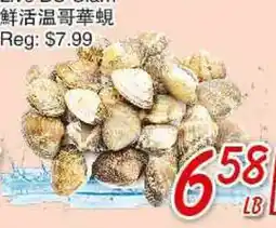 Foody Mart Live BC Clam offer