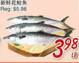 Foody Mart Fresh Spanish Mackerel offer