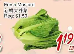 Foody Mart FRESH MUSTARD offer
