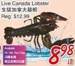 Foody Mart Live Canada Lobster offer