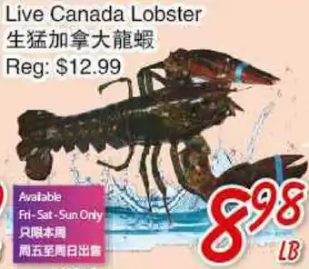Foody Mart Live Canada Lobster offer