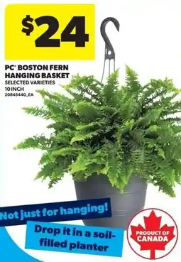 Real Canadian Superstore Pc boston fern hanging basket offer
