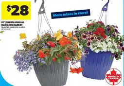 Real Canadian Superstore PC jumbo annual hanging basket offer