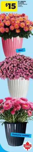 Real Canadian Superstore PC annual planter offer