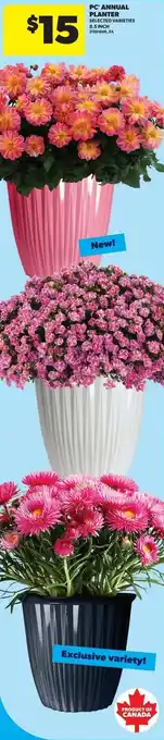 Real Canadian Superstore PC annual planter offer