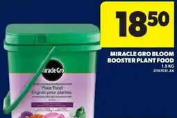 Real Canadian Superstore Miracle gro bloom booster plant food offer