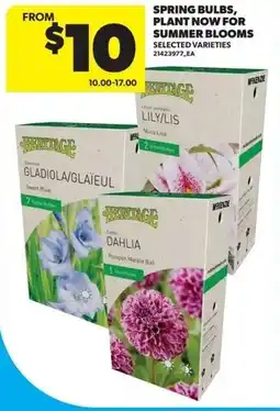 Real Canadian Superstore Spring bulbs, plant now for summer blooms offer